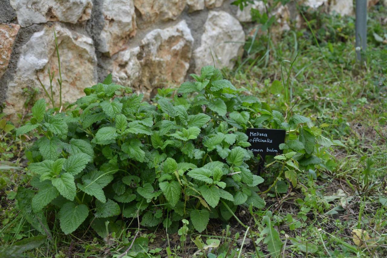 Lotus Sea View Apartments Lixouri Dış mekan fotoğraf