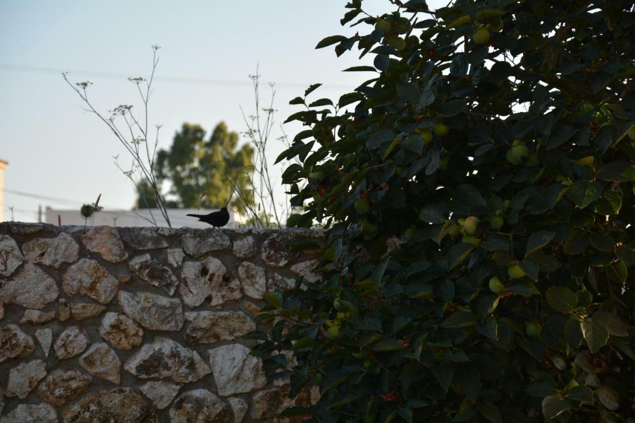 Lotus Sea View Apartments Lixouri Dış mekan fotoğraf